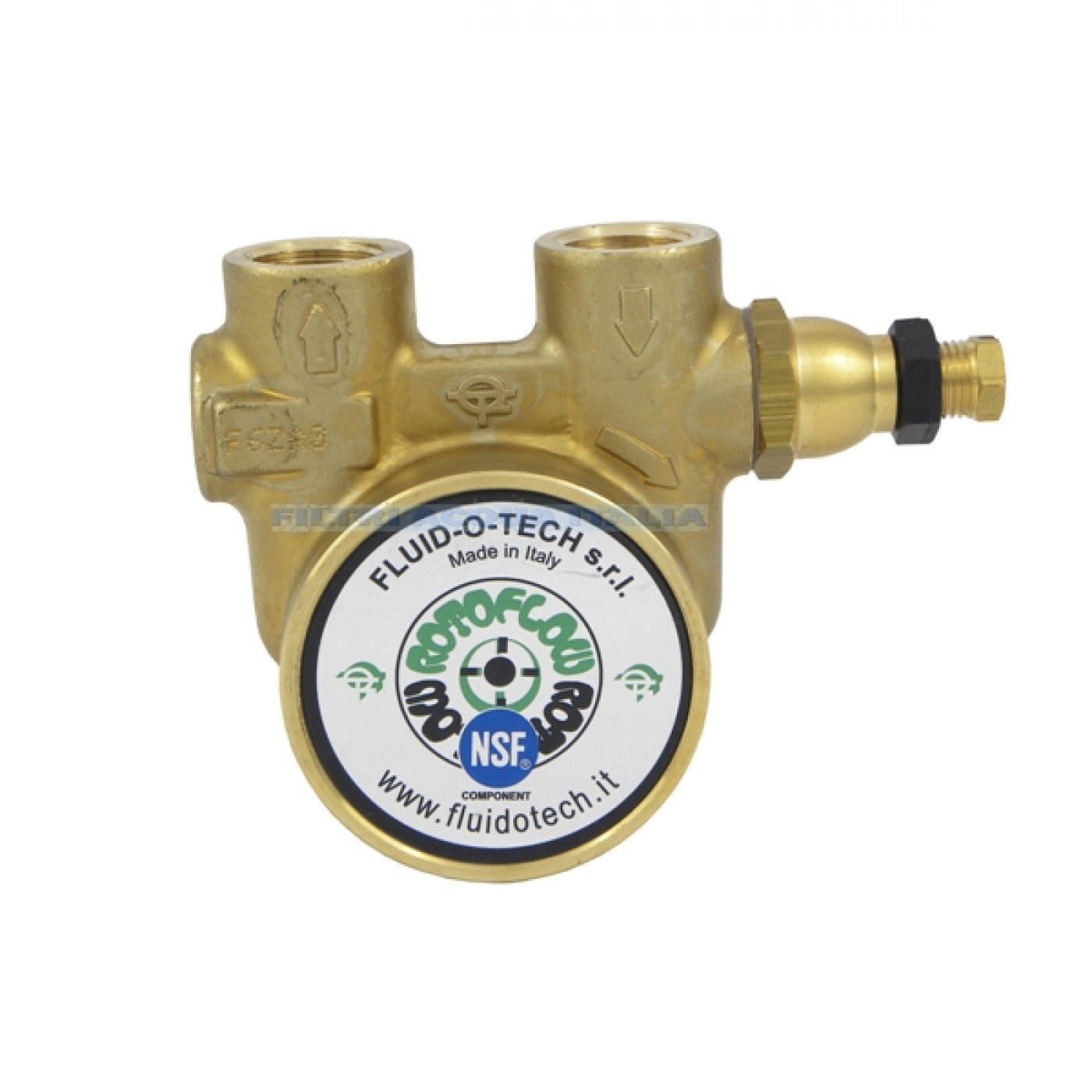 Pompa Rotativa a Palette 200 lt/h 