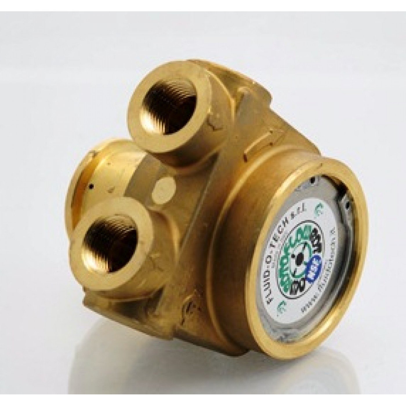 Pompa Rotativa a Palette 800 lt/h con BY PASS