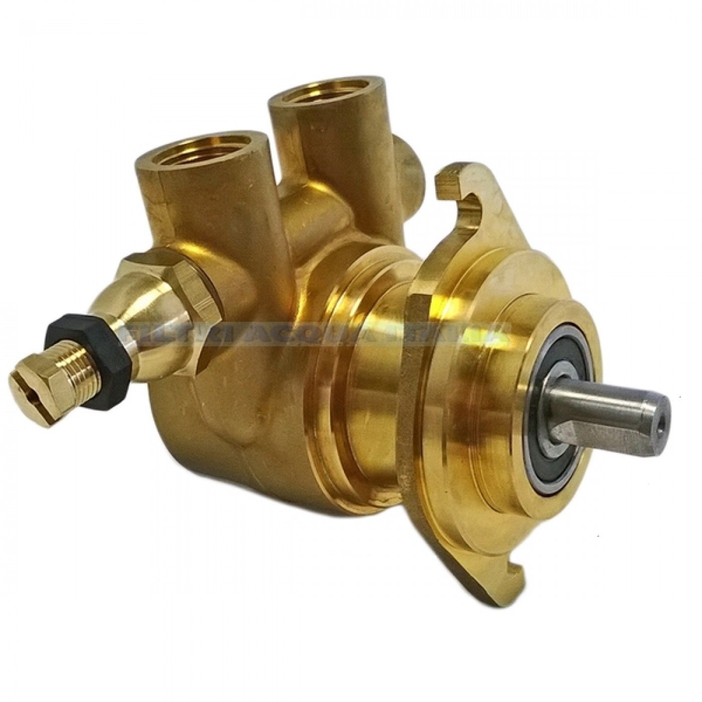 Pompa Rotativa a Palette 200 lt/h 